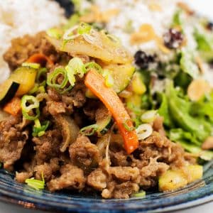 Spicy Buta Don / Bulgogi
